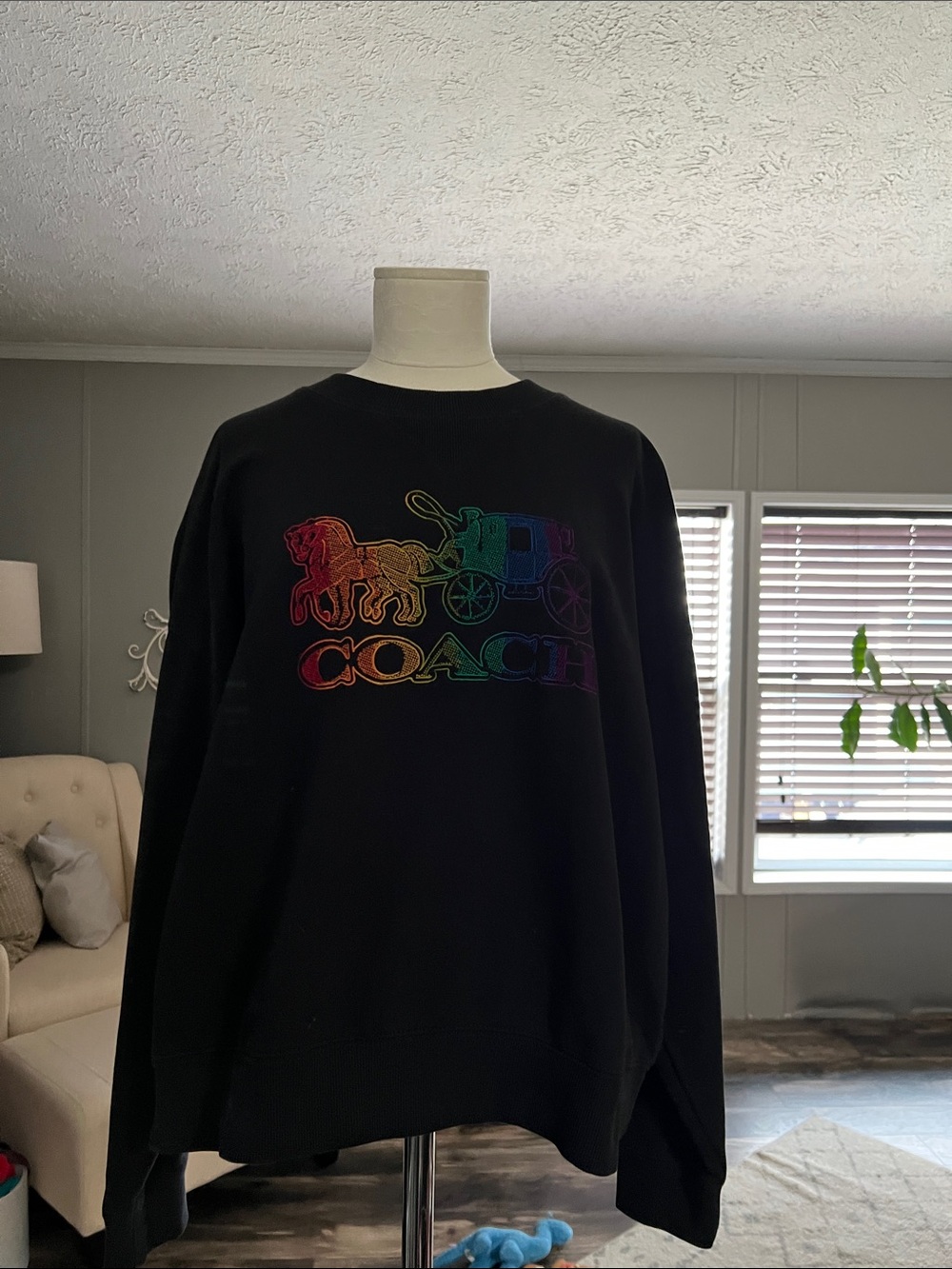 Coach rainbow embroidered Horse n carriage Sweatshirt
